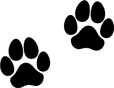 animali (9).png
